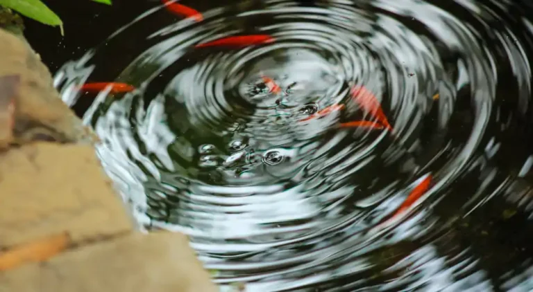 What is Vibrational Marketing? Teresa Paul Explains.