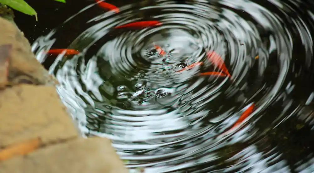 What is Vibrational Marketing? Teresa Paul Explains.